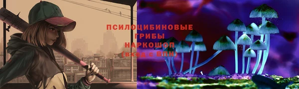 крисы Алексеевка