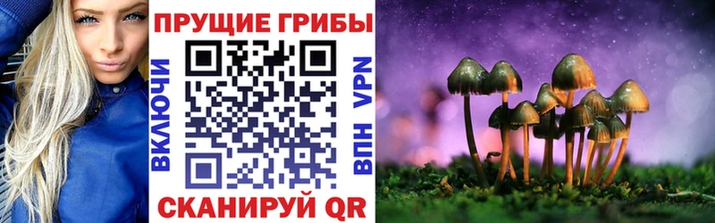 Галлюциногенные грибы Psilocybine cubensis  Ардатов 